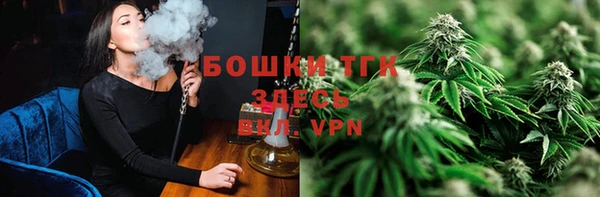 ECSTASY Липки