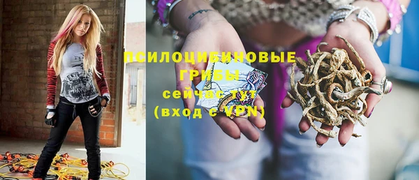 ECSTASY Липки