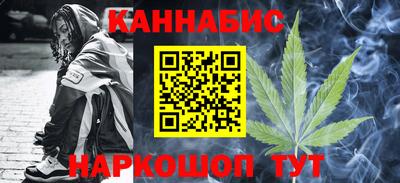 МДПВ Кингисепп