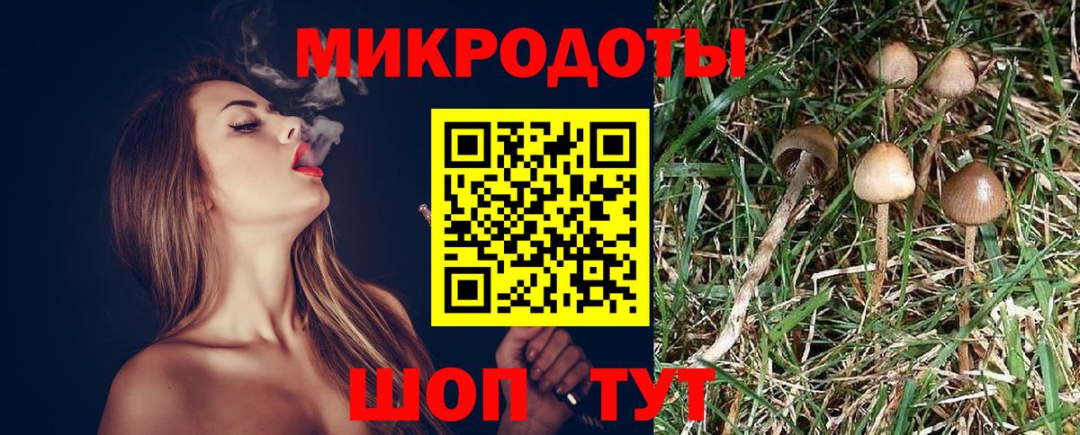 Псилоцибиновые грибы GOLDEN TEACHER Мичуринск